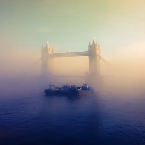 Untitled Collection #127727894