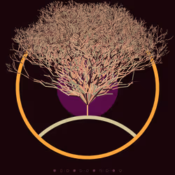 74168867016011539093366687608765447348507224284888477074887989718777178619905