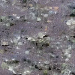 51505744279772251808310948570193708993242265706659681932624859449552460054530