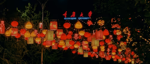 Untitled Collection #80759136