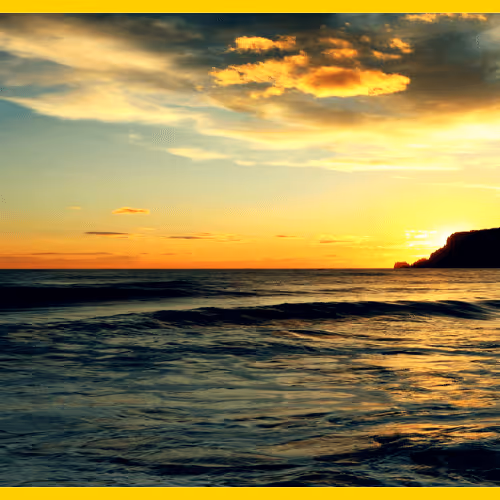 Item #42655069450279595702778439768559423805970000241868820674688539732568950439937 Media