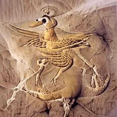 Item #74784352540794407576352996235880380414859882983404703653399998342239640092673 Media