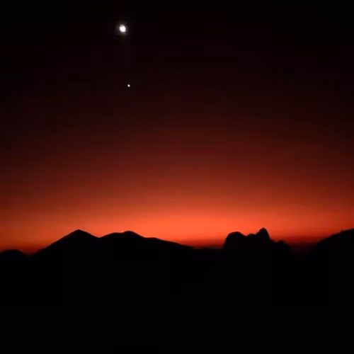 Untitled Collection #358531740