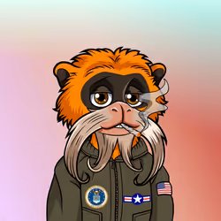 67182258498829374843706483608151563094647588442130083225553784033357324091393