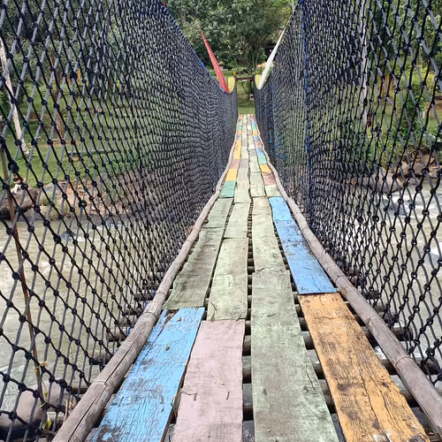 Untitled Collection #196158463