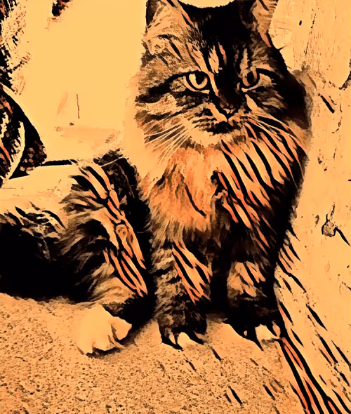 Item #29510731910910609866946623002702956419421614825625903317173568058257169186817 Media