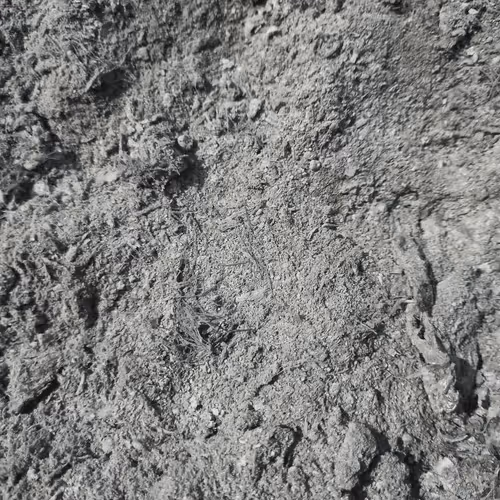 Untitled Collection #204872870