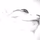 61082193928742656492132093982871814504310418469945563105305492539997006331905