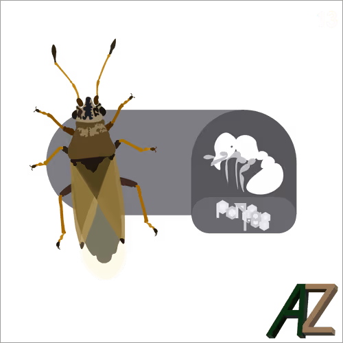 Item #24705041787920661933578063921032196695044586853584662932146667910506815160325 Media