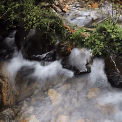 Water & life