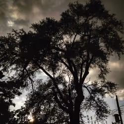 Dark Skies