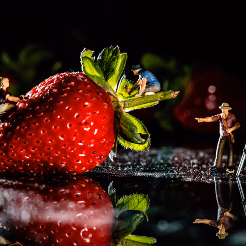 Untitled Collection #31326522