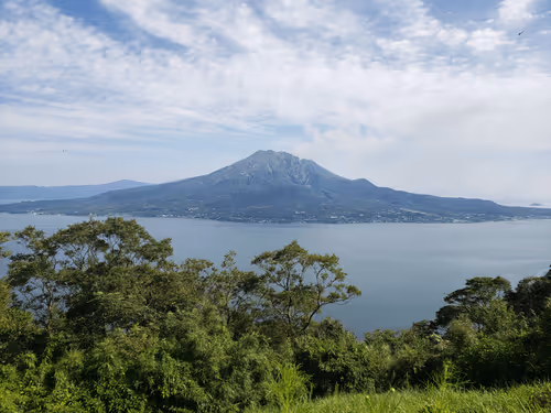 Untitled Collection #269704339