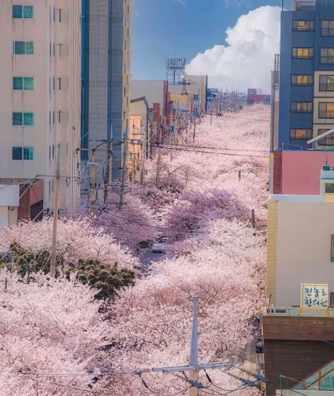 Item #101528073781406697475099613941177707799304664737776677206335620891821935165441 Media