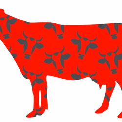 Funky Cow #26