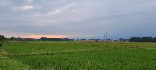 Item #77639649618359044565845836296384692448333239705158820447638111213152874004481 Media