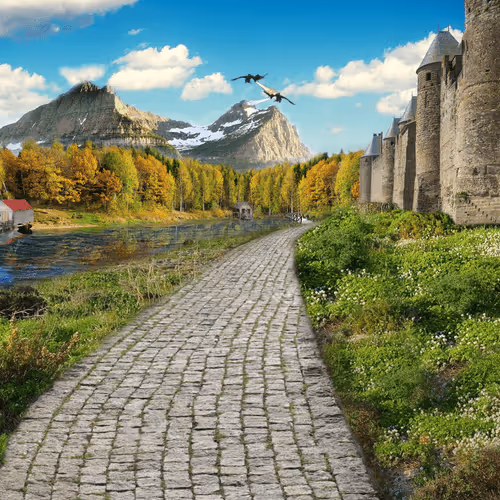 Untitled Collection #38346058