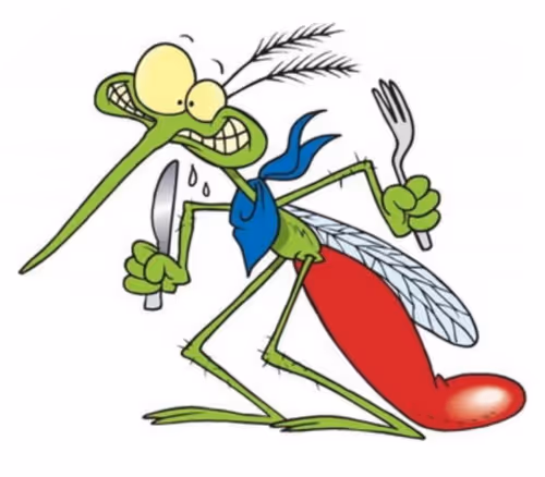 Item #74053741187816168410961867838096218930929461401611507717933416668807288586241 Media