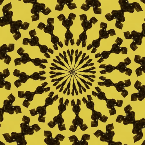 31081804352330578596568685091517160537930858517835942894700269980117127659521