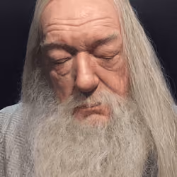 Harry Potter Warner Brothers London England Studio Tour Dumbledore Lifesize Model Replica Wax Figure