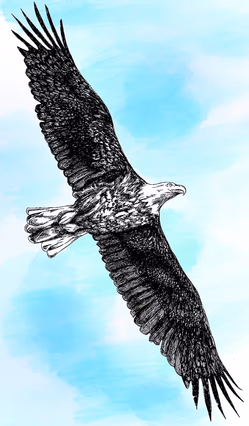 Item #115642348900939839605664246345985153537088577067861875053419533915251288309761 Media