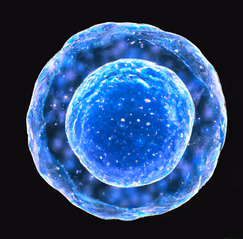 Item #15900858524274065462397165605509062893973264951757804275935713247755776294913 Media