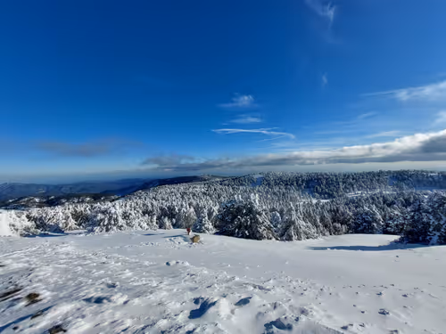 Untitled Collection #53447084