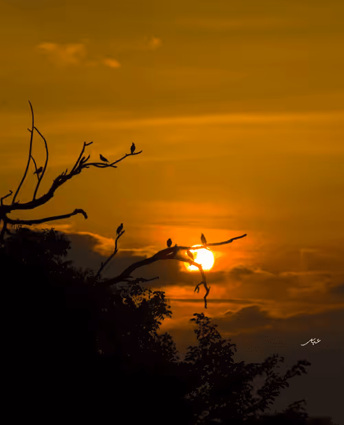 Item #9104047852343460824823657095955061139286762947505329334286274231300566024193 Media