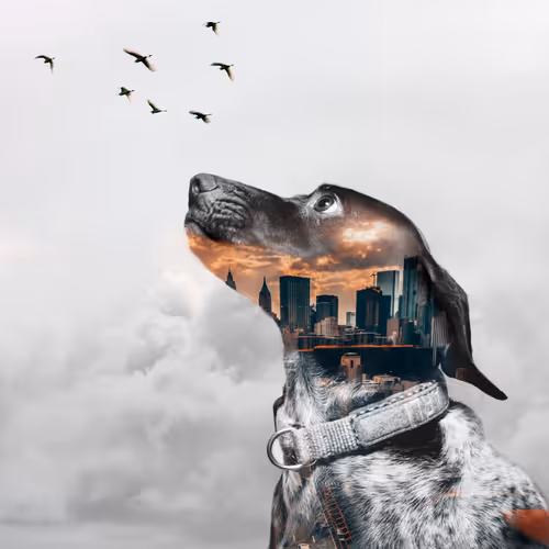 Item #15388151998385142520402863105602745666681691027385313044373482385254691897345 Media