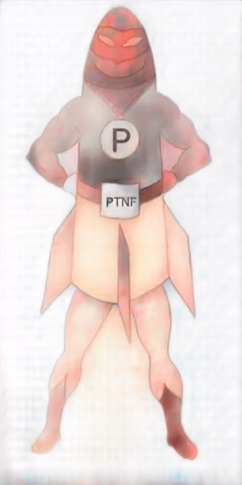 Item #44470908263200690185913336177633632797527917418476965941404209189142726180865 Media