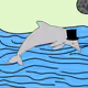 6242498517118385271884294538126442538070232459310109668103792536809610674177