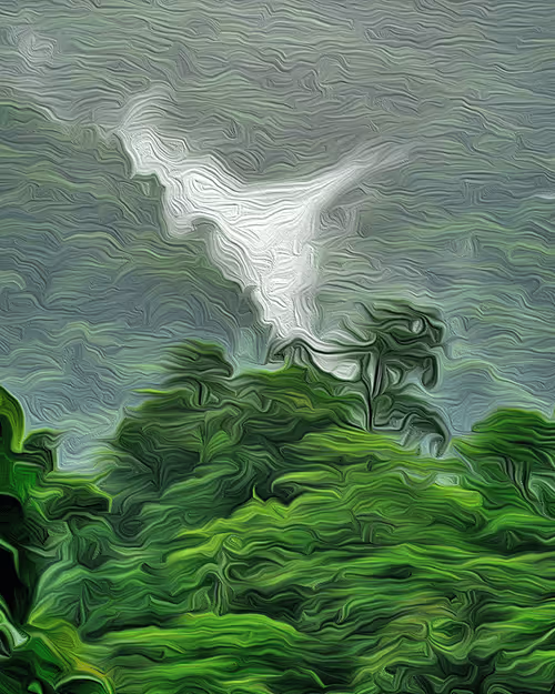 Item #53293942116468401556828473725211609702143921669187691239079210558513435639809 Media