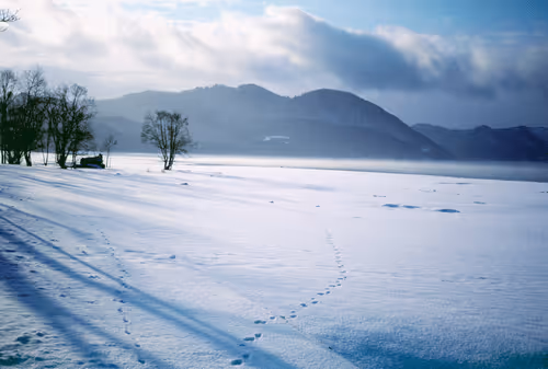 71165997854143450093372358757960361854753460918996014251035869127039002869761