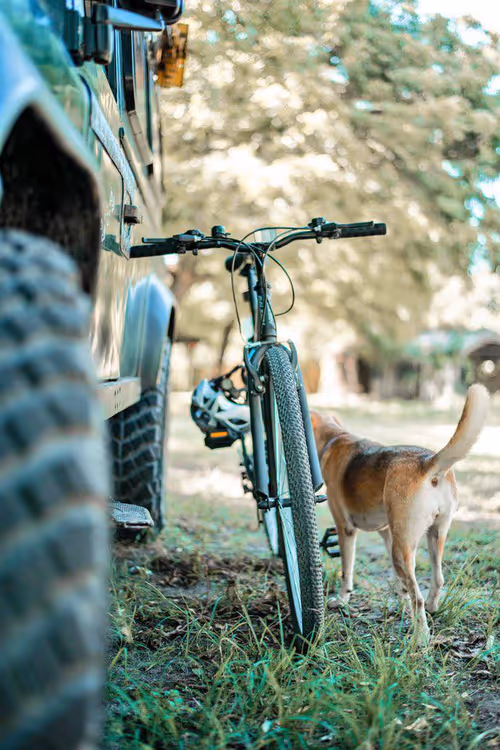 Item #86903464745063030386287453147347217351919881946904413706269477993020661956609 Media