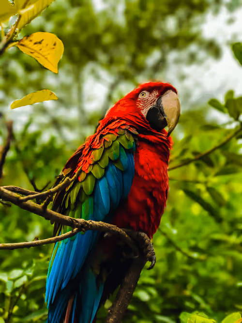 Item #62369234285830221936011655398008345982335724910001049919456219725353248096257 Media