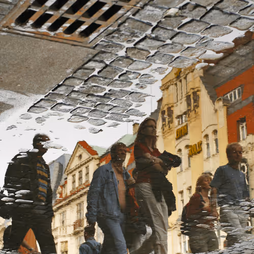 72771752724512834897841148734331697196499953349916527017693403089382064259172