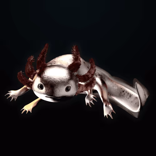 Item #39982110375740153587505644478940195082872270202471884348459982365703056392193 Media