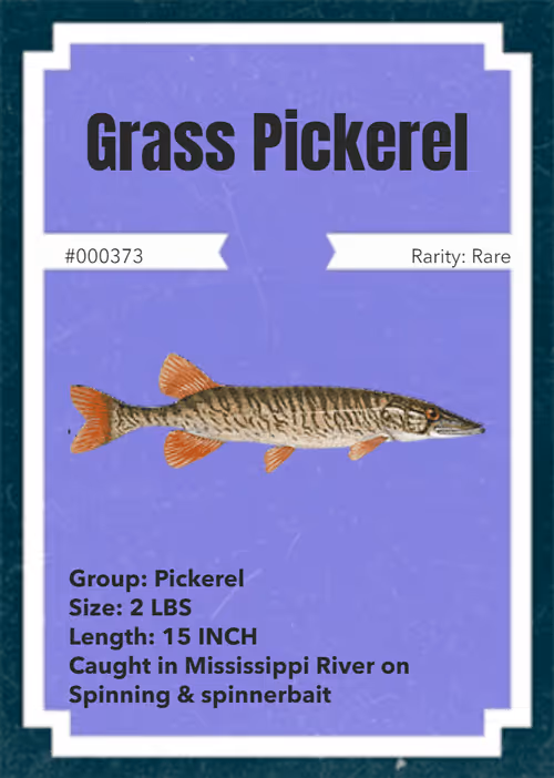 Item #43502264269384842523243150070095810631836830099831581701628992079104781058049 Media