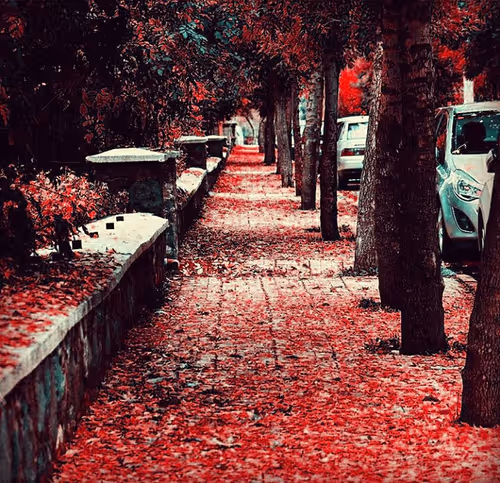 Item #105217539167968237061719126418442967576731455156064560156832037690490363052033 Media