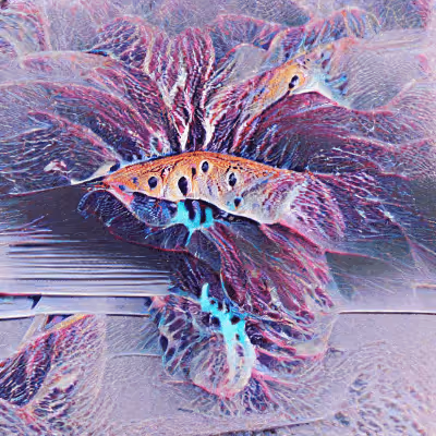 Item #90482172461080210638626593260384571798310461935444092697756992723487473795073 Media