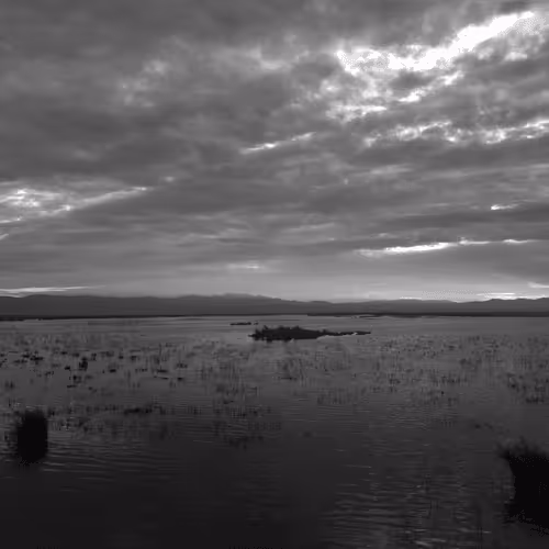 Item #107742627867956892364714120184147413803821811265510288122929724921330152767489 Media