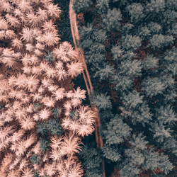 53767926527216059655815230459290075680023416823496414211124190733196087787521