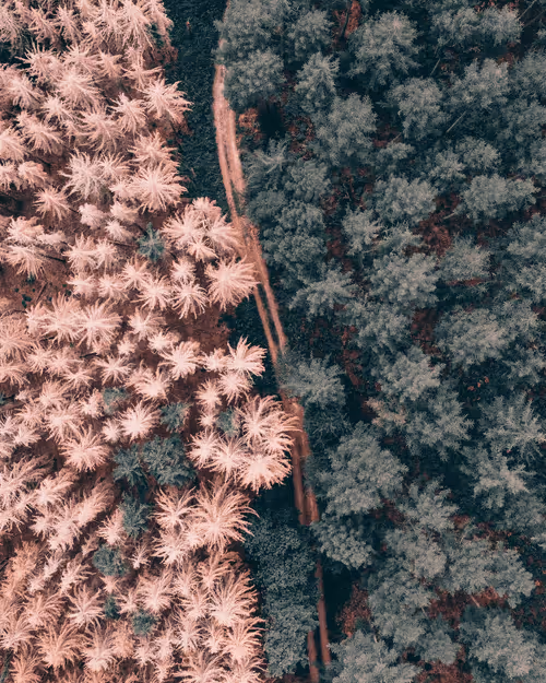 Item #53767926527216059655815230459290075680023416823496414211124190733196087787521 Media