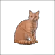 7917608709568526609042417006664391966594597627541652161018316716335035318273