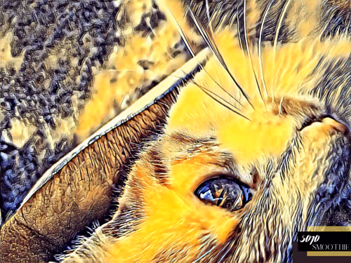 Item #70173555060280459679020221103172679865592931086946583501557978906290292785153 Media