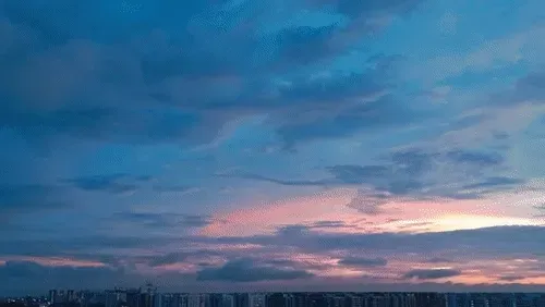 Item #54545336870129037164307986437789858251348704753246412266065009453656296128513 Media