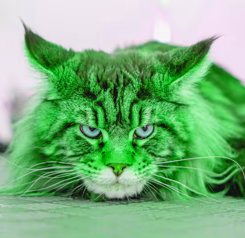 Item #2025594940595728063949820469308153765814371267570652306113433794916604968961 Media