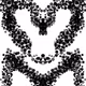 10144045431776136685649978452730433160652142810430305876279692832211602505729