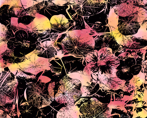 Item #100202135889345252302615875004271900597951028782367159480816017609614723907589 Media