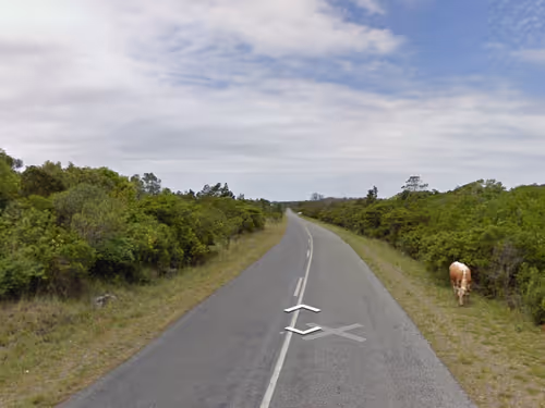 Item #21766675222774875702069380138995276219631073462771150610816622975219832717313 Media